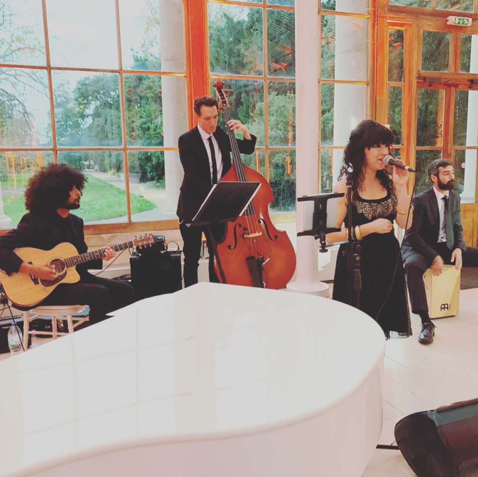 Louise The Lovecats London Acoustic Jazz Pop Band For Hire 1