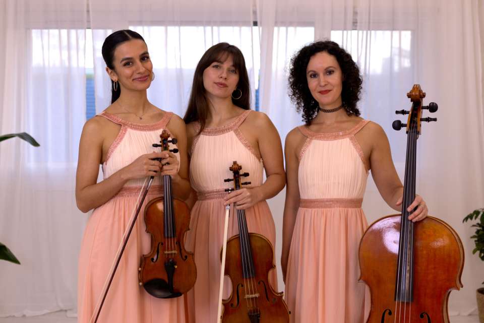 Verve Strings London String Quartet For Hire 19